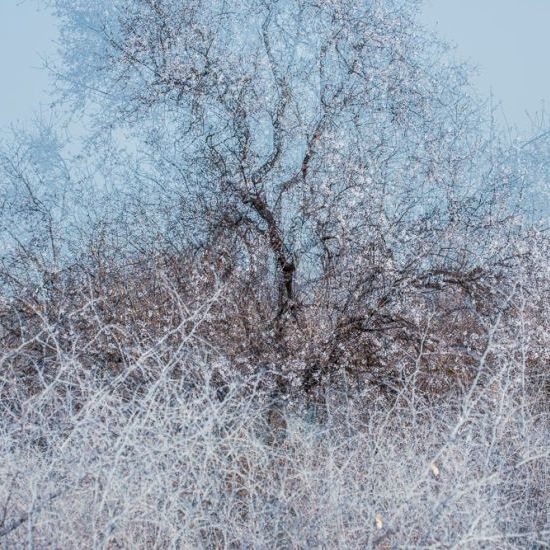 ABSTRACT MINDEDNESS 1