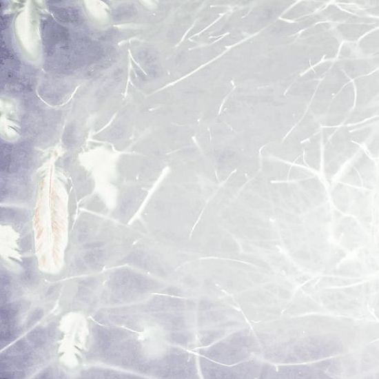 FLOATING IN BLUE - Bailey Chinnery Photography
